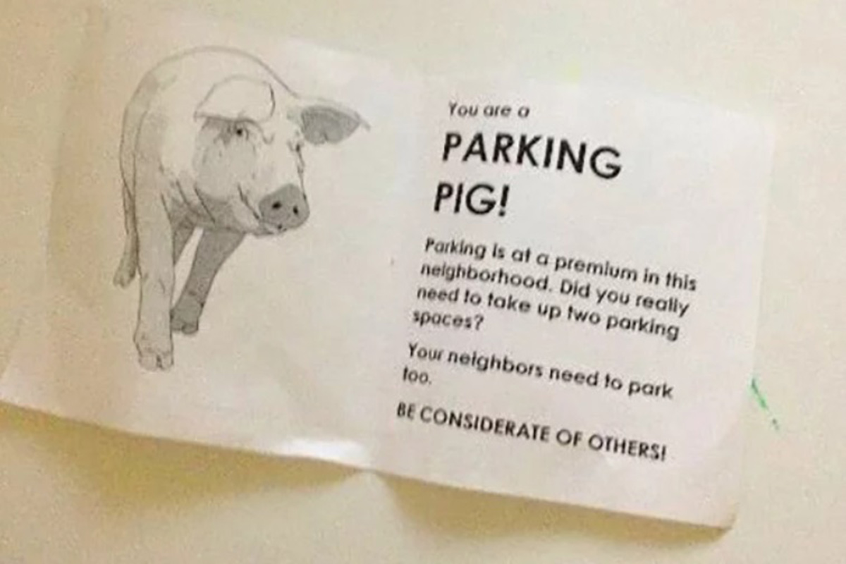 Parking Pig